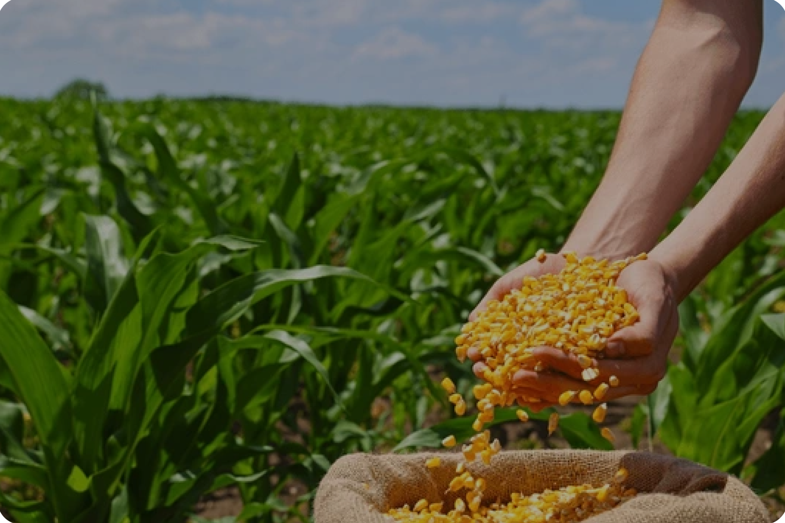 Transporte seguro de alimentos perecederos y sensibles a la temperatura