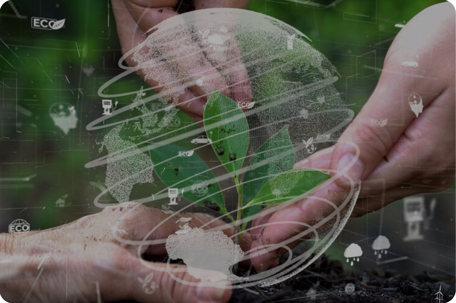 Soluciones logísticas alineadas con la sostenibilidad y medio ambiente